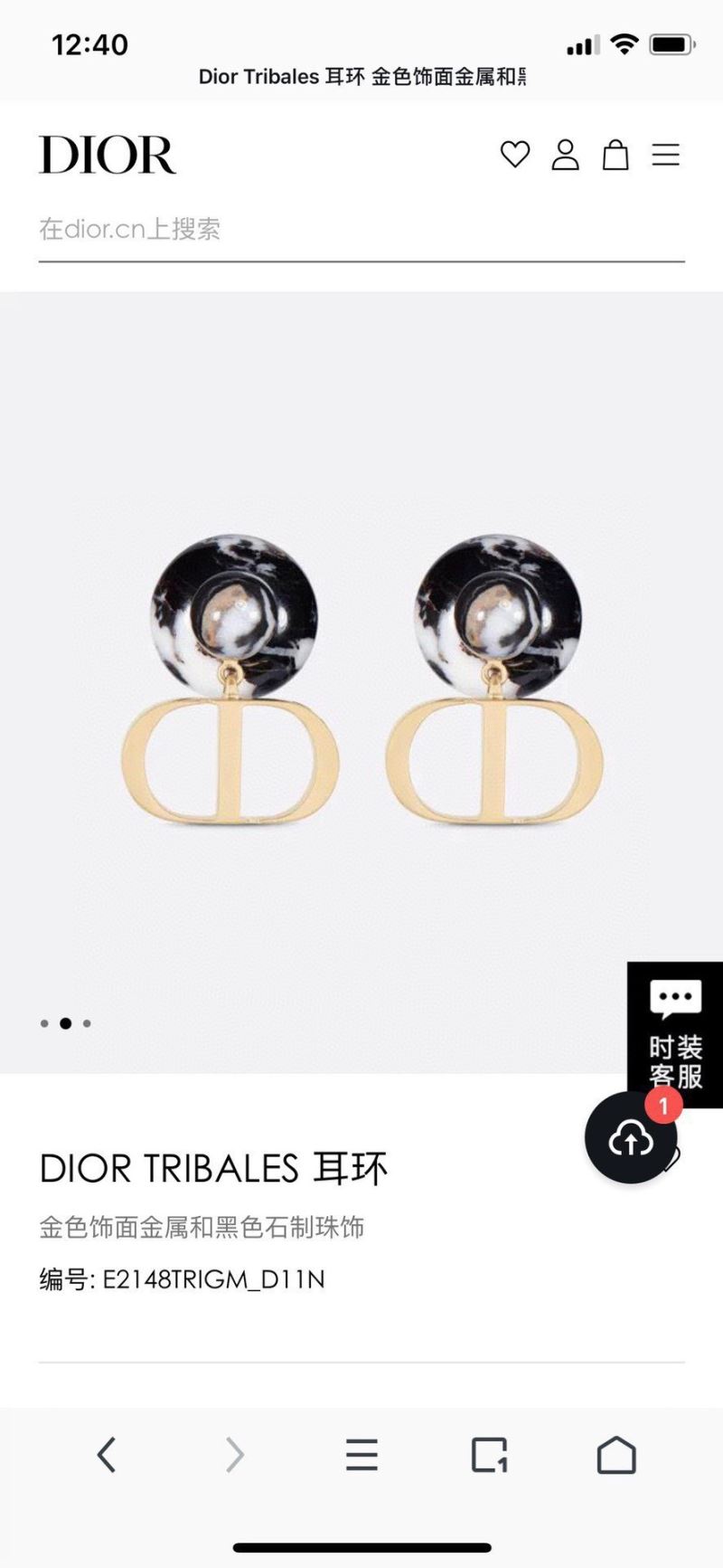 Christian Dior Earrings